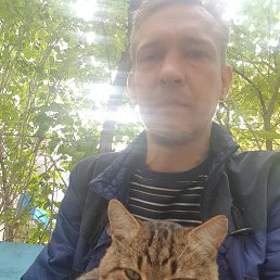 ���������, �������, 44 ����