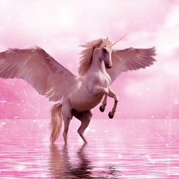 ���� �����, ����, 25 ��� - ��������� 25 ������ 2020