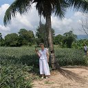 ���� �����������������, ������������ - ��������� 28 ������� 2020 � ������ ���� ����������