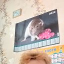 ���� ������, �����, 62 ���� - ��������� 17 ������� 2020