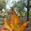 ���� Raisa, ������ - ��������� 14 ������� 2020 � ������ ������ ��������