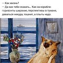 ���� �������, ���������, 71 ��� - ��������� 2 ������ 2020 � ������ ������ ��������