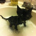 ���� ����� ))), �������� - ��������� 13 ����� 2021