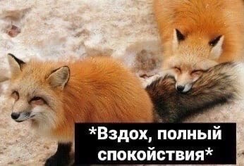    - 4