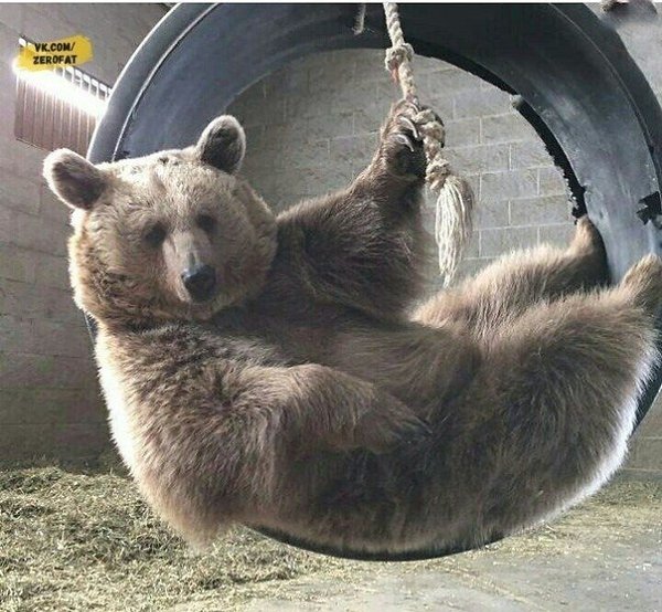 oa  c  p o ap !....  ae e - 3