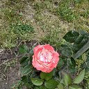 ���� Denis, �������� - ��������� 6 ������ 2020 � ������ ������ - ���� ))�