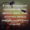 ���� ������, �����, 55 ��� - ��������� 17 ����� 2021 � ������ ������ ��������