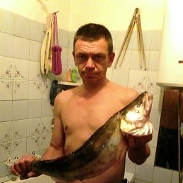 ���� ����, ������, 52 ���� - ��������� 3 ������� 2020