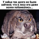 ���� ������, ��������, 58 ��� - ��������� 16 ������� 2020 � ������ �������