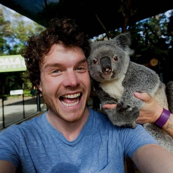     . 29-      ,   ... - 5