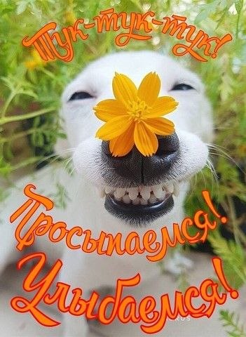 :) !)))