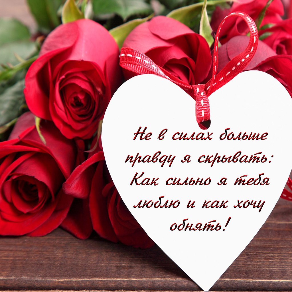   ,    . - 27  2021  19:16 - 4