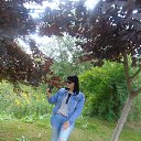 ���� Nina, ����� - ��������� 25 ������� 2020