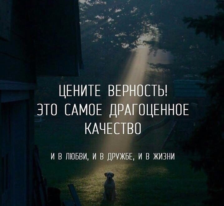 co | cxoo | pa
