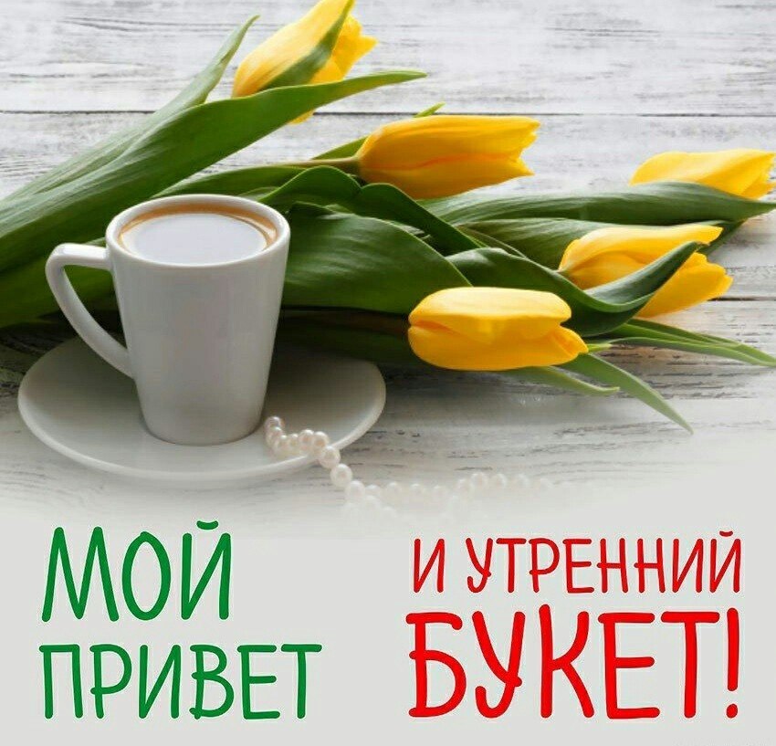   - 11  2020  08:42