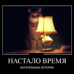 ����, �����������, 51 ���