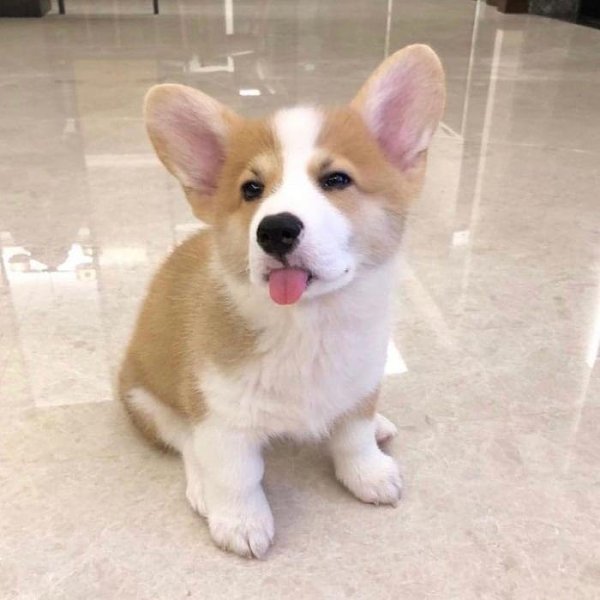   ! 