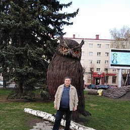 �����, ������, 70 ���