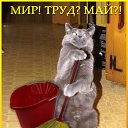 ���� ������, ����, 43 ���� - ��������� 16 ������� 2021 � ������ ���� ����������