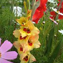 ���� ��������, �����-��������� - ��������� 12 ������� 2021 � ������ ���� ����������