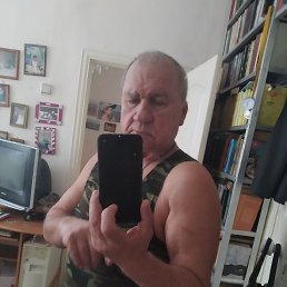 �������, �����������, 66 ���