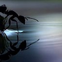 ���� ��������, ������, 50 ��� - ��������� 19 �������� 2020 � ������ ���� ����������
