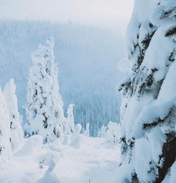 Montana