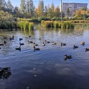 ���� ���������, ������, 42 ���� - ��������� 15 ������� 2021