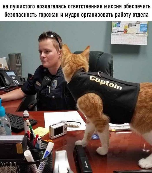 Он вошёл в участок, будто всегда был тут начальником, естественно все стали звать его Капитан - 3