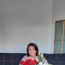 ���� �����, ����������� - ��������� 1 ������ 2020 � ������ ���� ����������