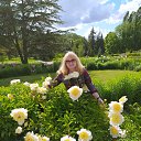 ���� �������, �����������, 64 ���� - ��������� 26 ������� 2020