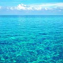 ���� ������, ������������ - ��������� 20 ������� 2020 � ������ ���� ����������