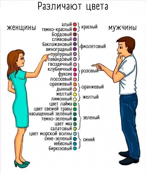 �e�y��� \ �ap��.�y�� � �op�e