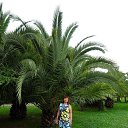 ���� �����, ������-��-����, 56 ��� - ��������� 4 ������ 2020