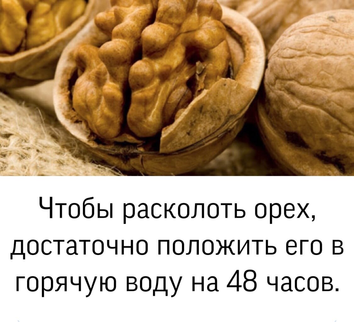BEST | , ,  - 23  2021  13:27