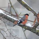 ���� ����, ���� - ��������� 23 ������ 2021 � ������ ���� ����������