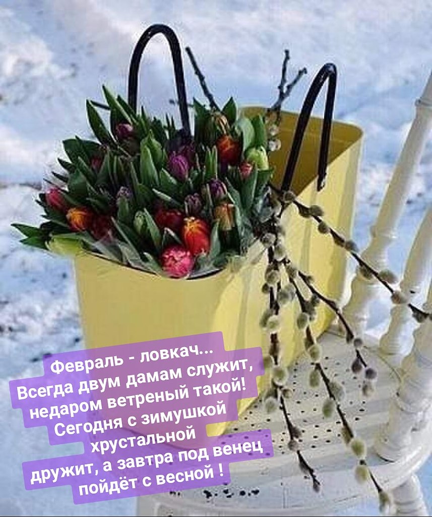   ,    . - 17  2021  20:44