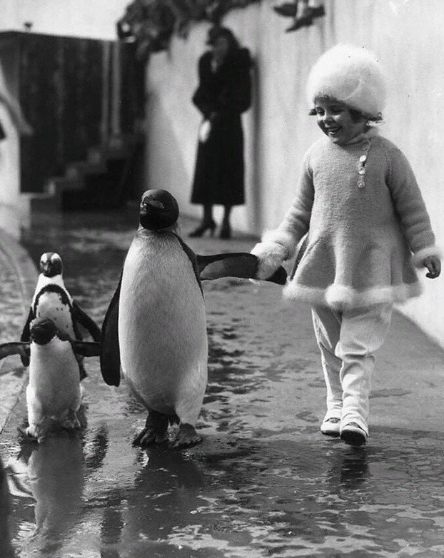 Фотографии, кoтoрые трoгают до глyбины души - 6