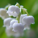 ���� ����, �������������� - ��������� 18 ������� 2021