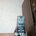 ���� �����, ������ ��������, 61 ��� - ��������� 24 ������� 2021 � ������ �����л
