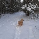 ���� ����, �����-���������, 66 ��� - ��������� 9 ������� 2021 � ������ ���� ����������