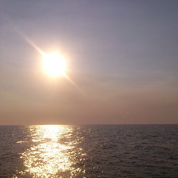 �������, �������, 48 ���