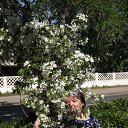 ���� �����, ��������, 58 ��� - ��������� 23 ������� 2020