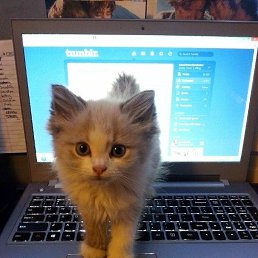 ���� �����, ������, 59 ��� - ��������� 26 ������� 2020