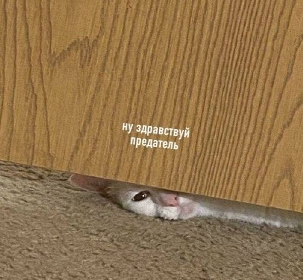 �: *��� � ������, �� ���� � c���� ����*.M�� ���: