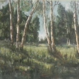 ����, ����, 65 ���