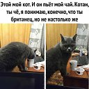 ���� �����, ������, 72 ���� - ��������� 21 ������ 2020