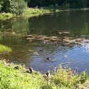  ,  , 60  -  28  2020    