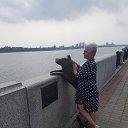 ���� ��������, ���������, 53 ���� - ��������� 19 ������� 2020