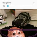  ••,  -  24  2020   